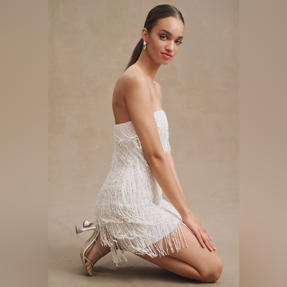 BHLDN Arabella Mini Sequin Fringe Dress - Picture 4 of 8